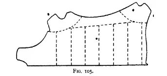 Figure 105