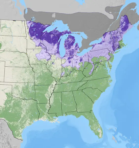 Map of Black Ash density from the National Individual Tree Species Atlas