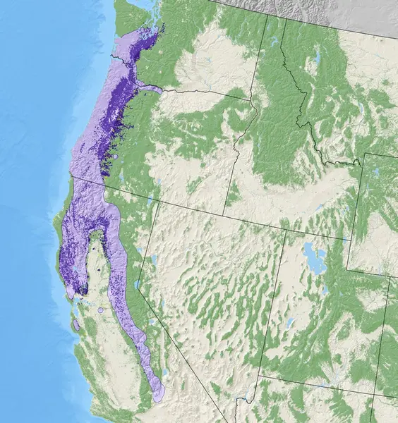 Map of Oregon Ash density from the National Individual Tree Species Atlas