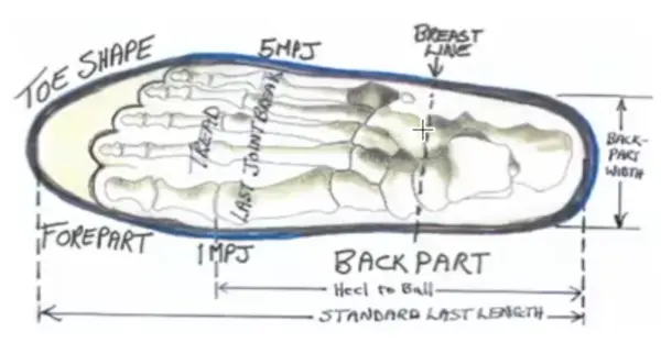 Credit: Bill Bird, License: Creative Commons Attribution 4.0 International