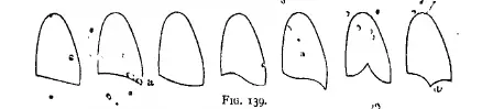 Figure 139