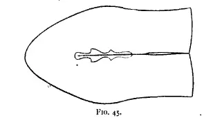 Figure 45