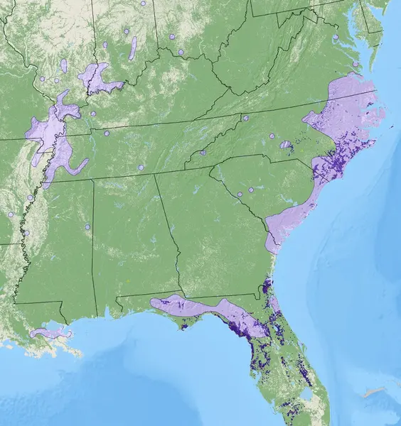 Map of Pumpkin Ash density from the National Individual Tree Species Atlas