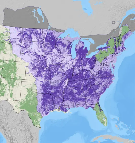 Map of Green Ash density from the National Individual Tree Species Atlas