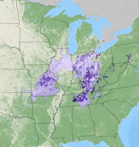 Map of Blue Ash density from the National Individual Tree Species Atlas