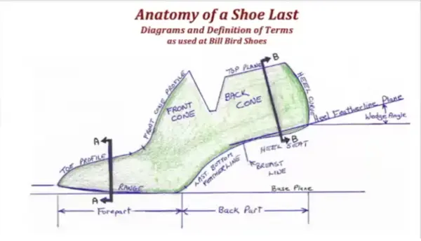 Credit: Bill Bird, License: Creative Commons Attribution 4.0 International