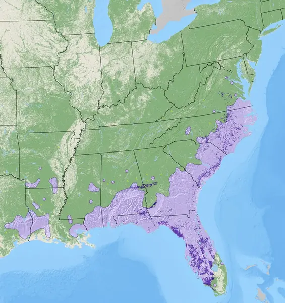 Map of Carolina Ash density from the National Individual Tree Species Atlas