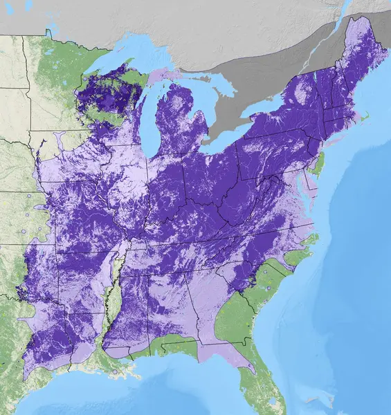 Map of White Ash density from the National Individual Tree Species Atlas